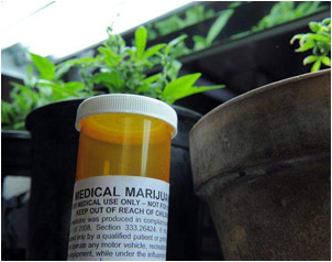 prescription pill bottle with label for medical marijuana.